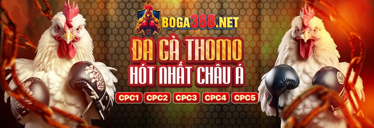 Đá Gà Trực Tuyến Vuaclub